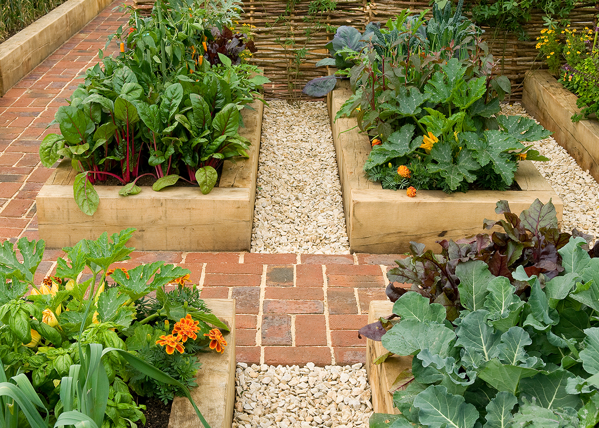 Image of raised beds in a potager garden in a backyard. The beds are filled with vegetables and herbs. The garden is a great example of Eco-Conscious backyard design ideas. 